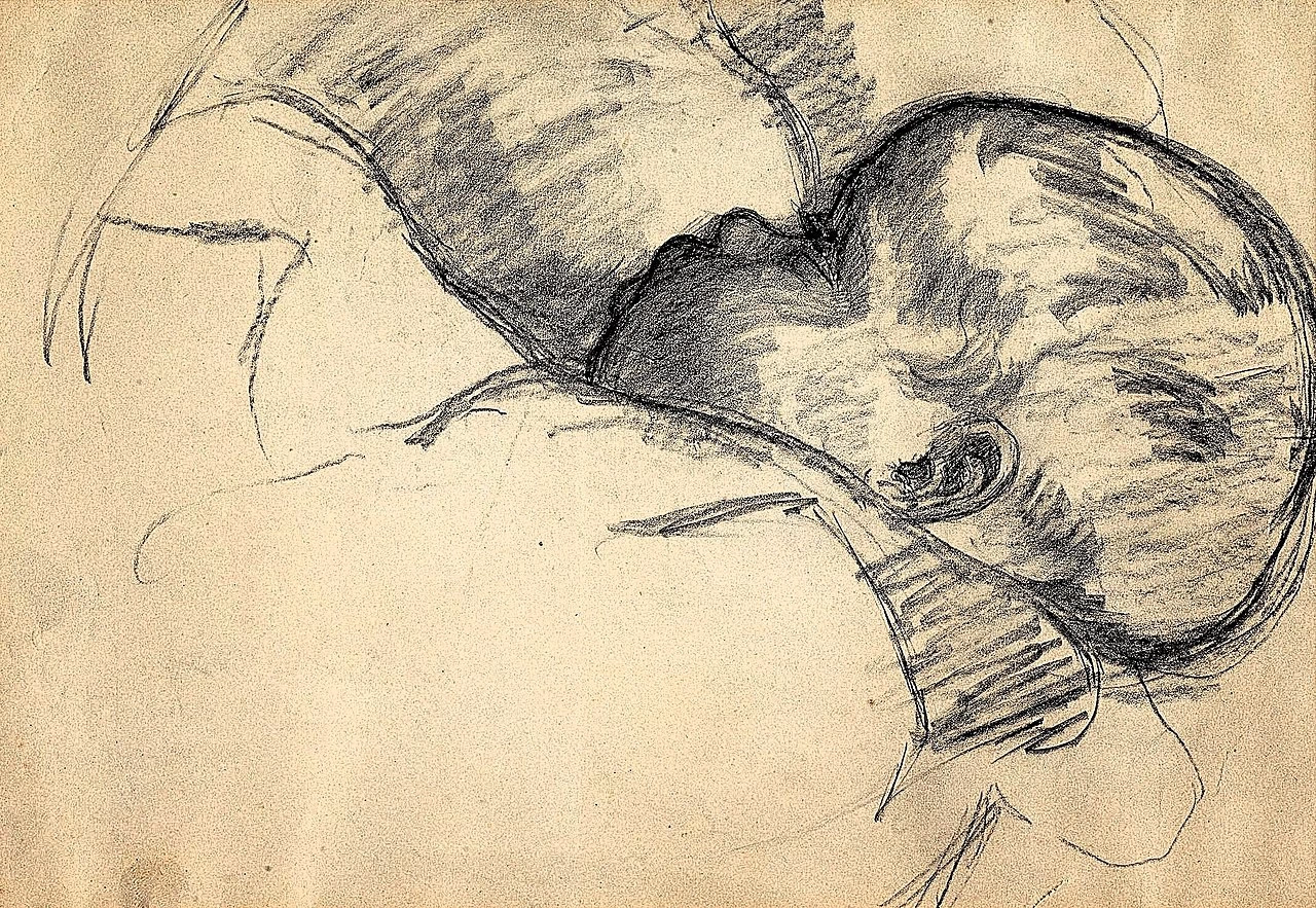 Studio di neonato